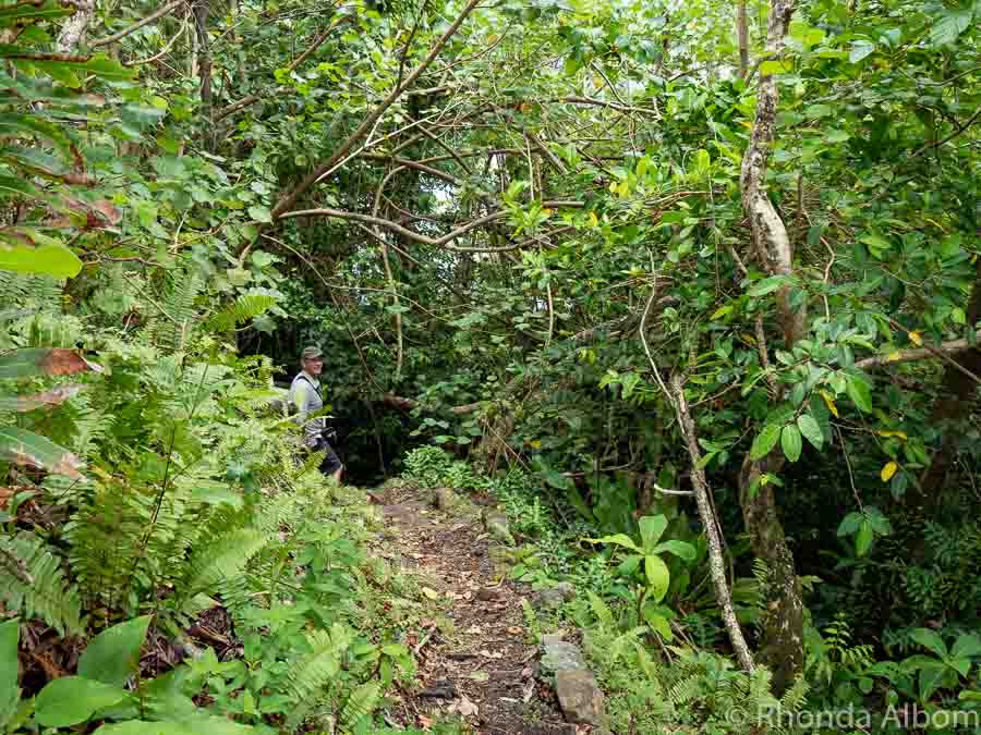 Visiting American Samoa Home To A Tropical US National Park