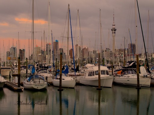 Westhaven Marina with Auckland skyline in the background just after sunset auckland sunset