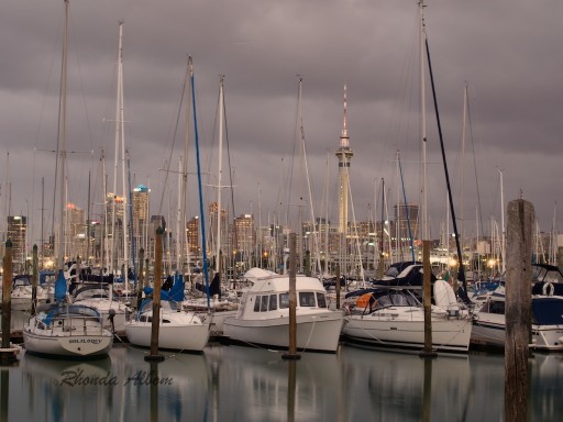 Westhaven Marina at dusk night photography in Auckland