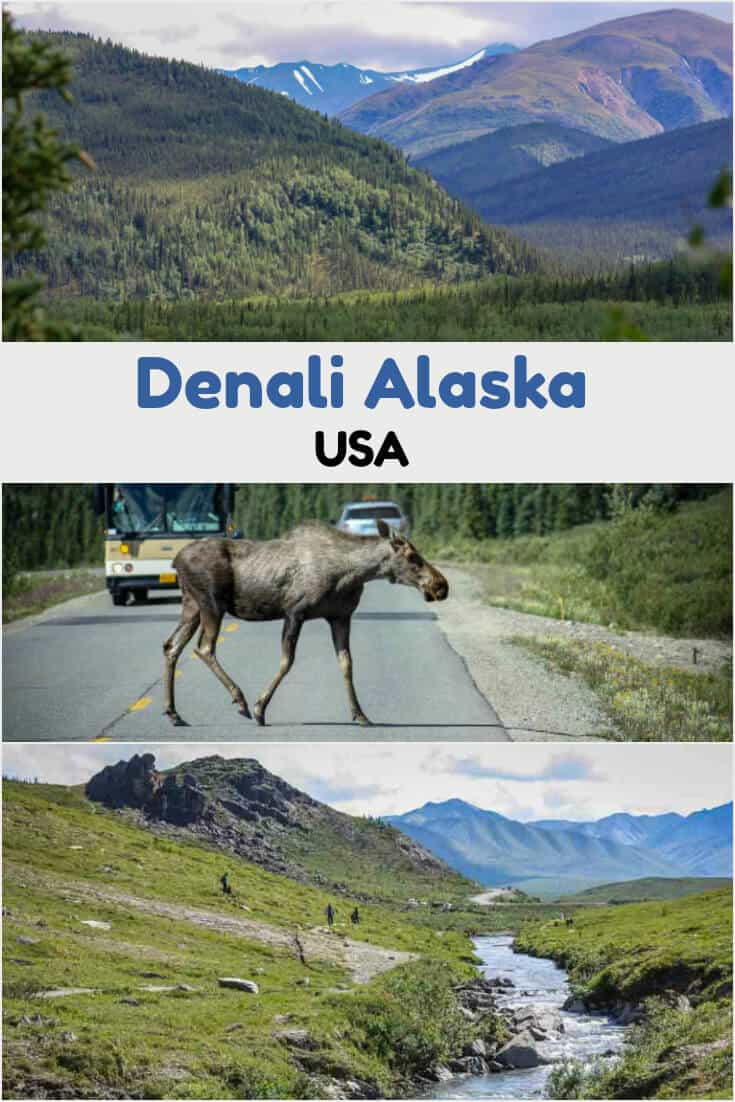 Things to do in Denali Alaska: Getting to and Enjoying the National Park