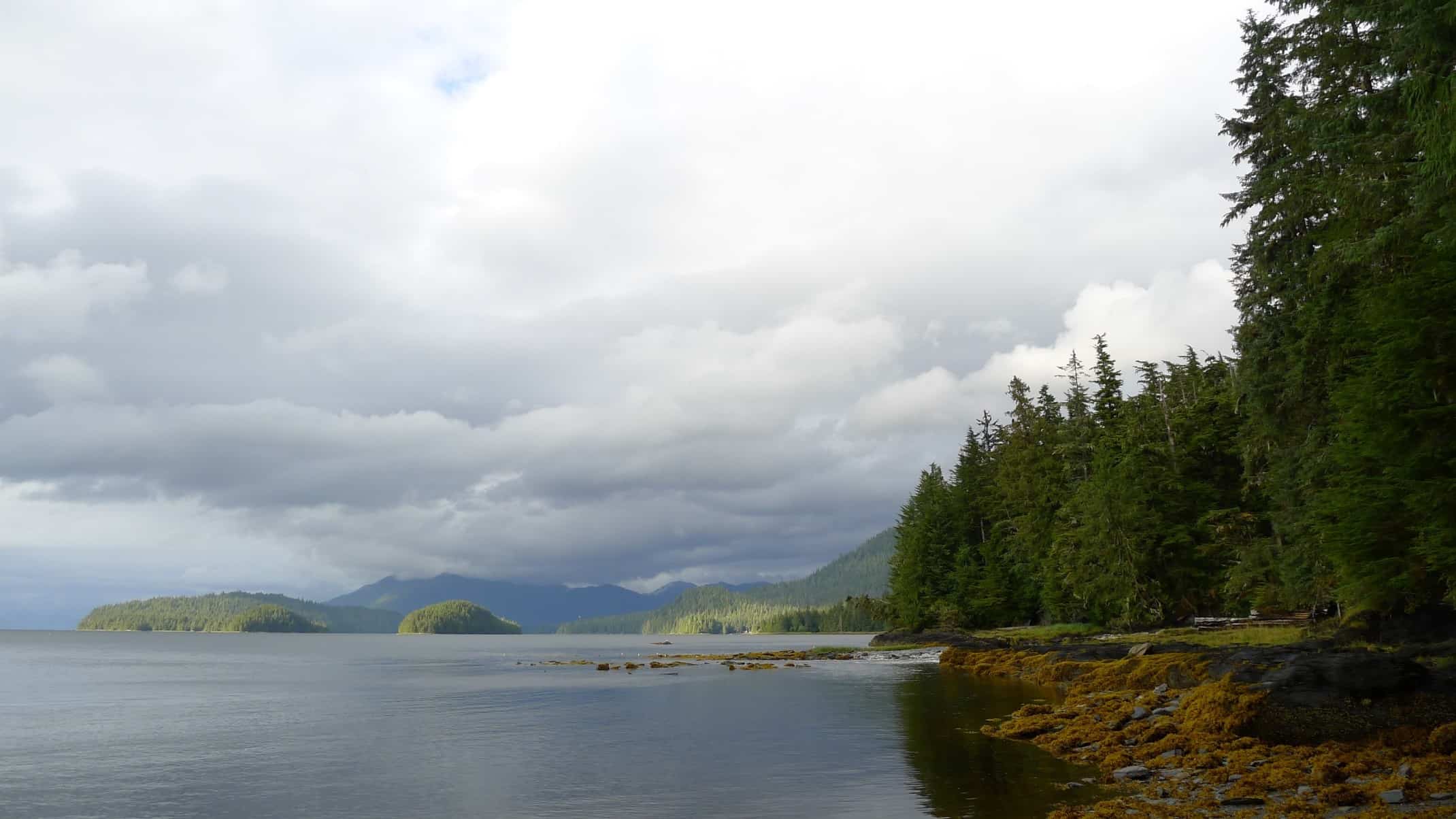 Ketchikan Shore Excursions: The Best Things to Do in Ketchikan Alaska