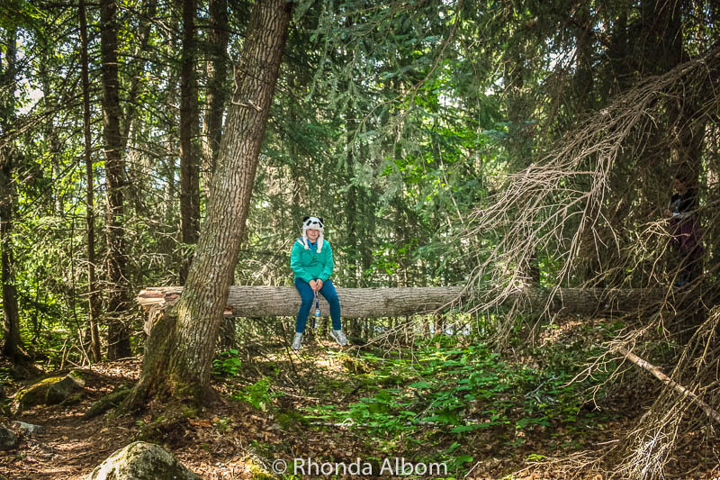 Hiking through the forest in Alaska.