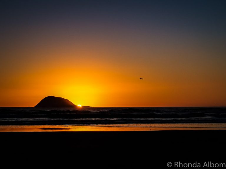 Muriwai Beach is Nesting Gannets, Black Sand, and Wild Surf in Auckland