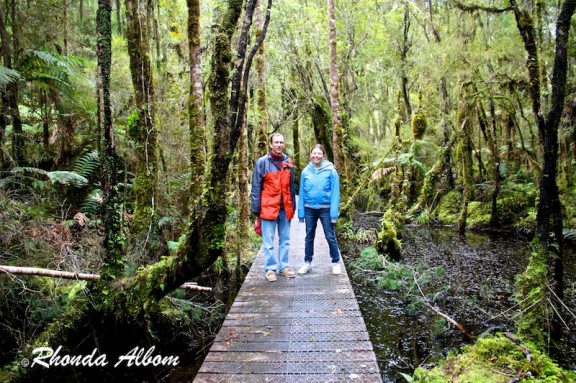 Boardwalk at Ship Creek swamp forest in New Zealand