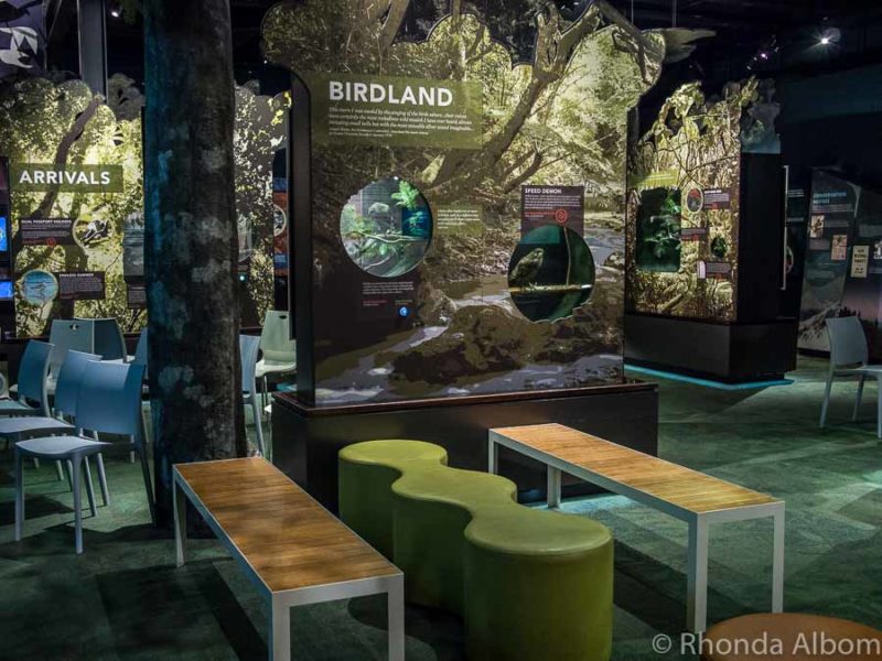 Inside the educational exhibition hall at Zealandia, Wellington New Zealand