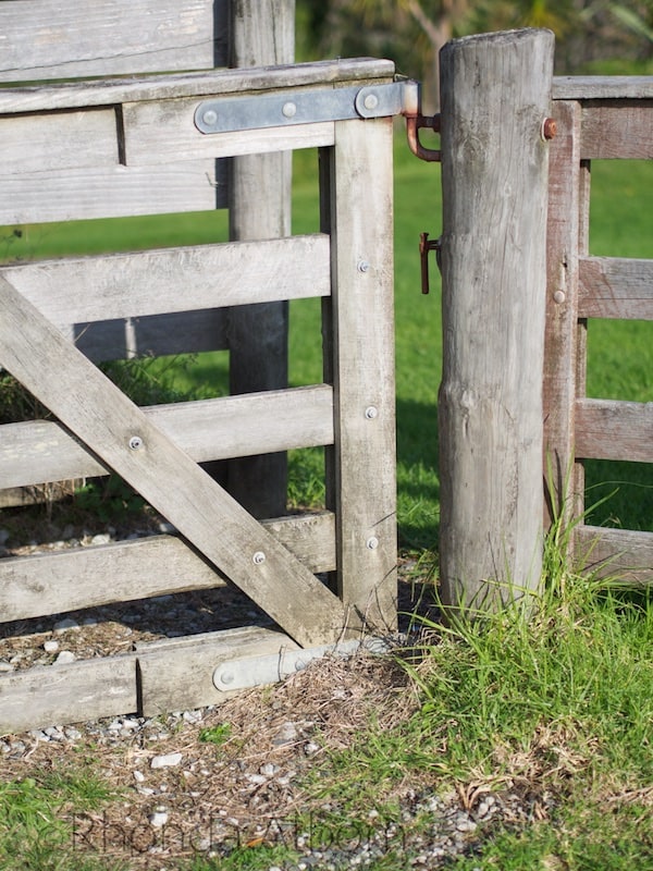 Everyday Differences: Even Nz's Paddock Fence Is Unique