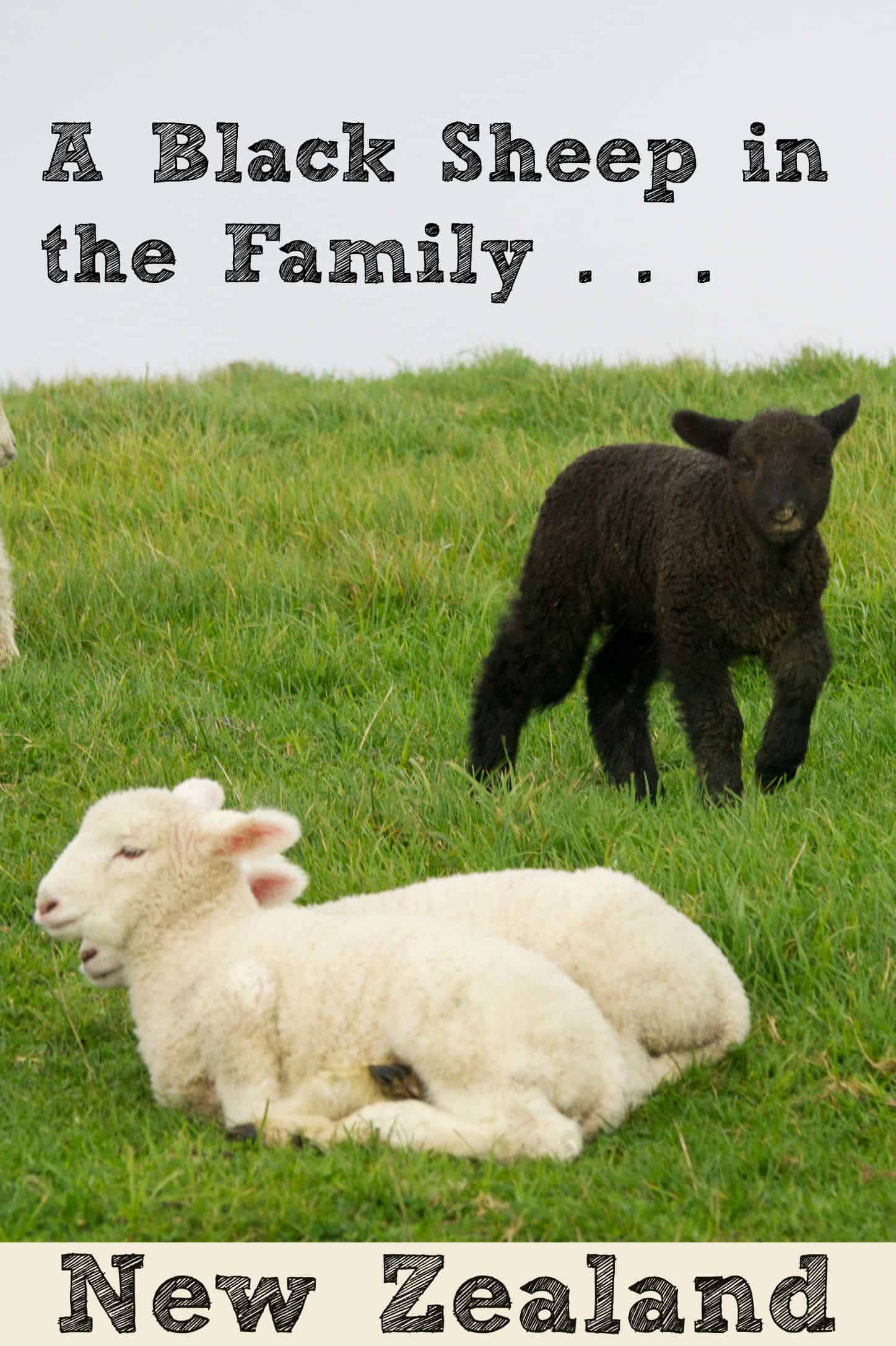 Black sheep of the family