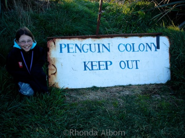 Penguin colony keep out sign