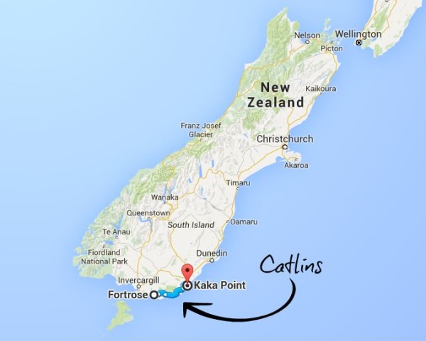 New Zealand Rainforest Map Discover The Catlins: A New Zealand Rainforest Along The Southern Coast