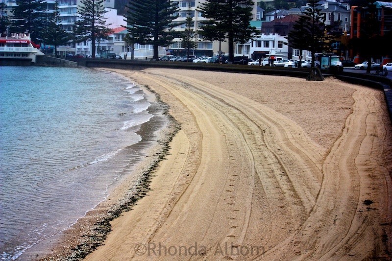 Oriental Bay Beach in Wellington New Zealand