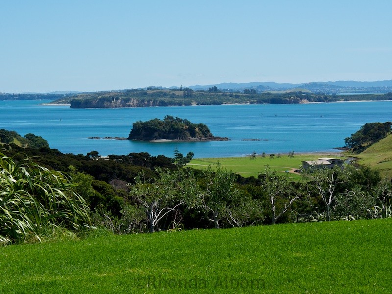 Looking out from Cable Bay Vineyard on Waiheke Island outside of Auckland New Zealand