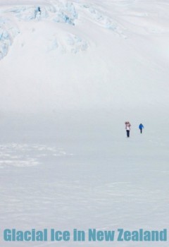Fox Glacier is on the South Island of New Zealand. It is fed by four alpine glaciers, overflows into the Fox River and travels into lush rainforest. It ends only 300 meters from the sea. This is one of several images from a helicopter tour in which we landed and walked on Fox Glacier.
