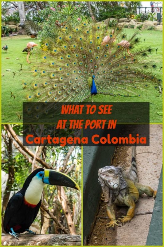 cartagena colombia wildlife tours