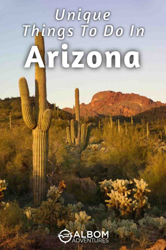 13 Unique Things to Do in Arizona: Road Trip Vegas to Tucson