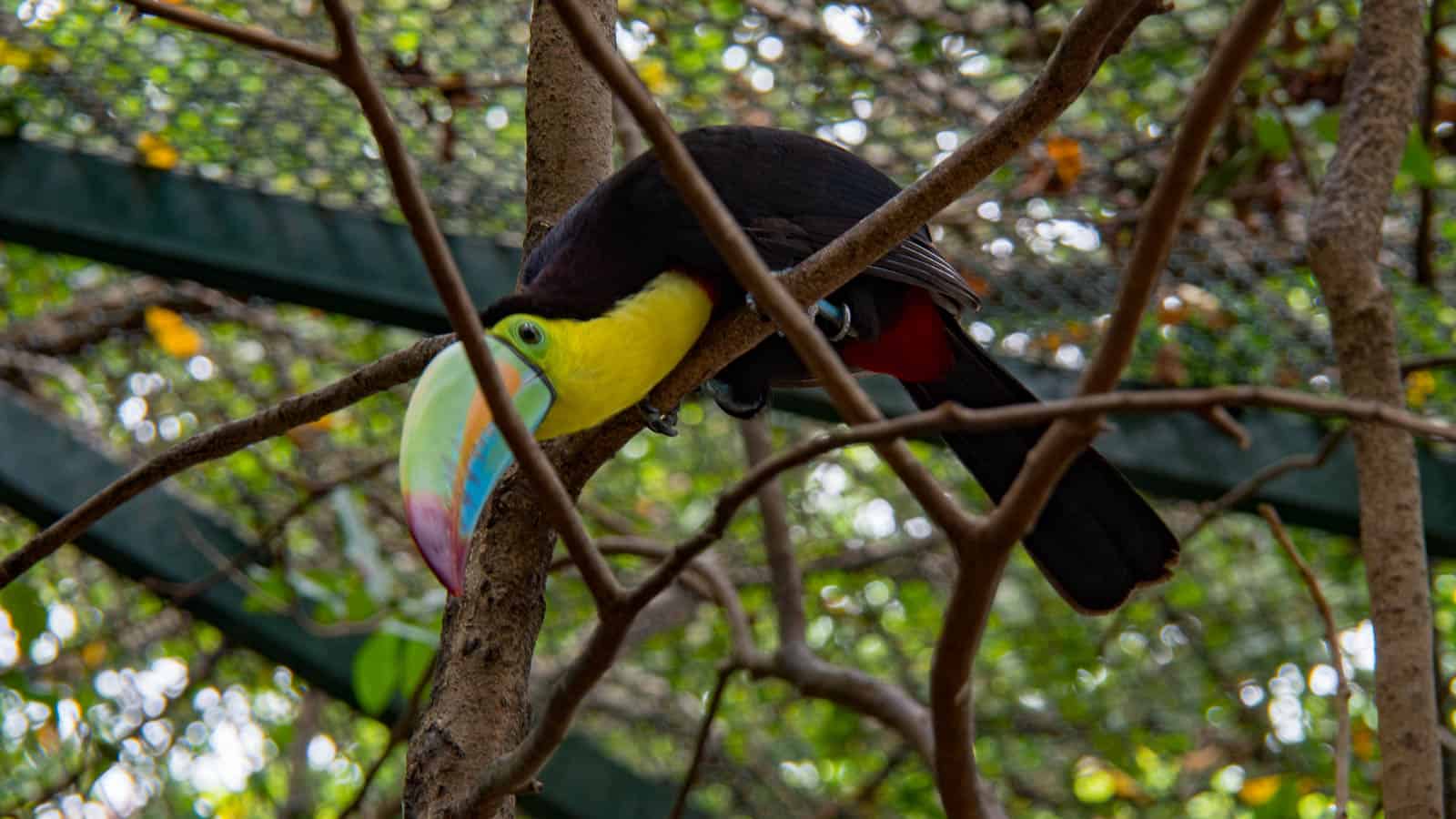 cartagena colombia wildlife tours