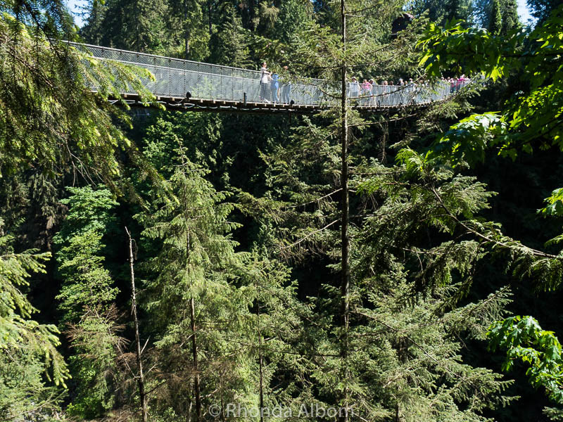 Standing 70 metres (230 feet) in the air, the 137m (450 feet) long Capilano Suspension Bridge appears near the tree tops. It's in Vancouver Canada