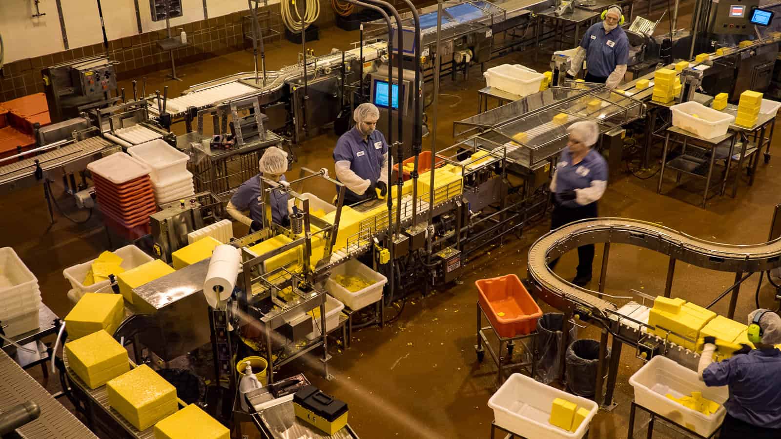 Tillamook: Let Me Take You Inside a Cheese Factory