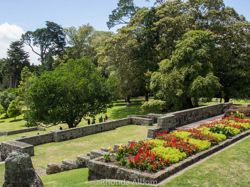 Exploring Cornwall Park Auckland New Zealand