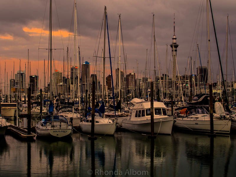 Night Photography Workshop in Auckland, New Zealand