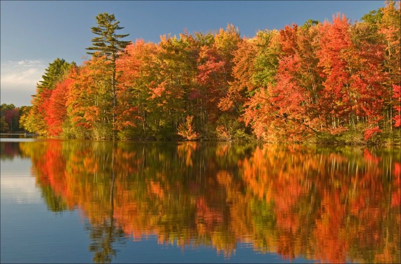 Peak Fall Foliage Maine 2025 - Diane Raychel