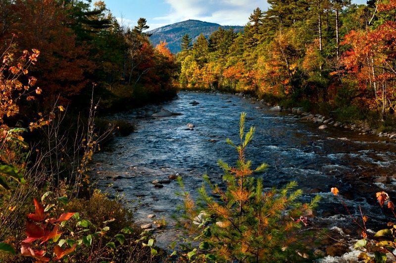Beautiful autumn colors seen along this river in North Conway, New Hampshire USA