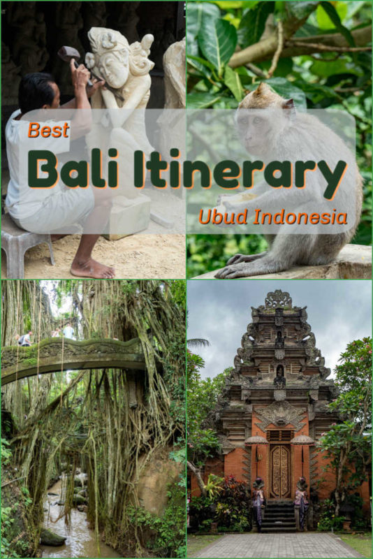 Bali Itinerary: Cruise Port Adventure in Ubud Indonesia