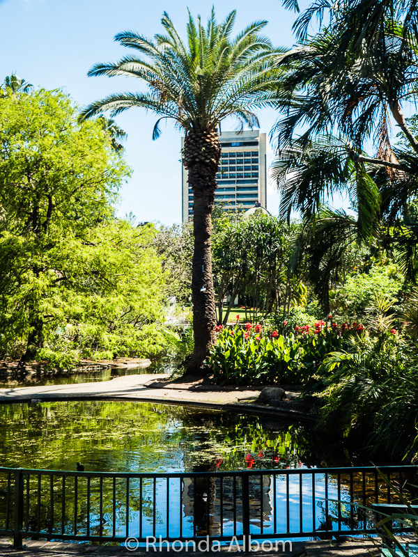 City Botanic Garden, Brisbane, Australia