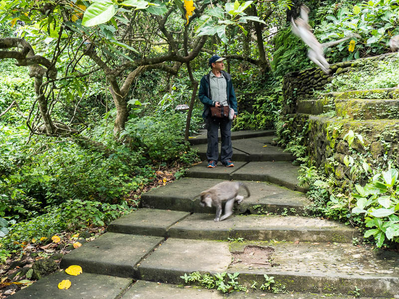 Mix and match outfit worn at Mandala Suci Wenara Wana Sacred Monkey Forest Sanctuary in Ubud Bali, Indonesia