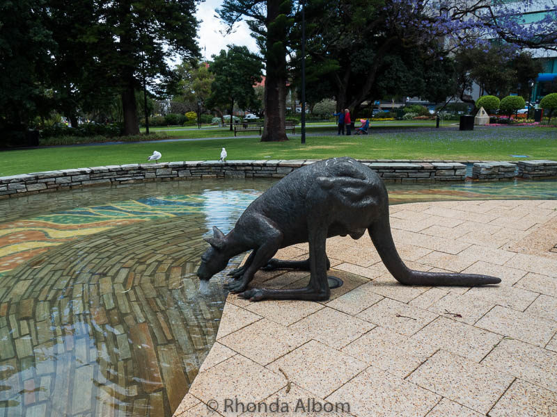 Life sized bronze Kangaroos on St. Georges Terrace, Perth