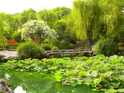 Exploring Gardens and Observing Everyday Life in Suzhou China