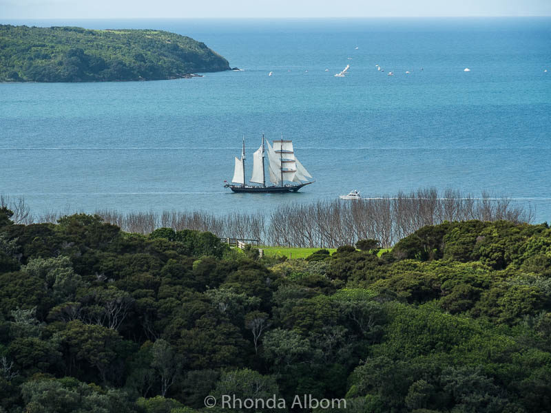 Spirit of New Zealand sailing around Shakespear Park in Auckland New Zealand