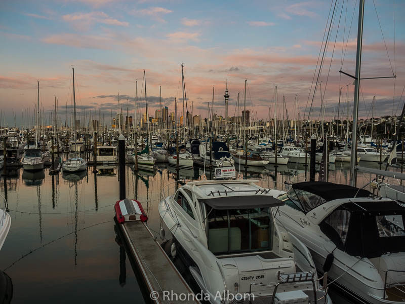 Boats at Westhaven Marina in Auckland New Zealand