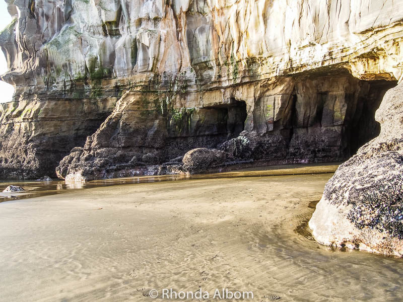 Caves at one of the West Auckland beaches