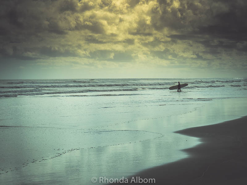 A surfer heads out at Piha, one of the black sand beaches in West Auckland