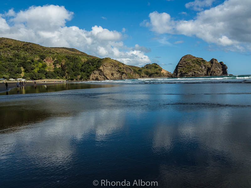 Little Piha Beach in Auckland New Zealand