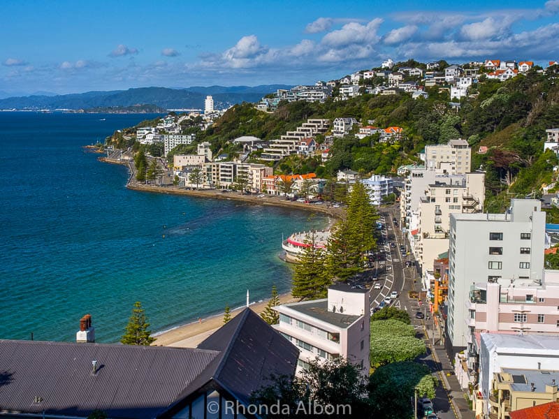 wellington-activities-37-things-to-do-in-the-capital-of-new-zealand