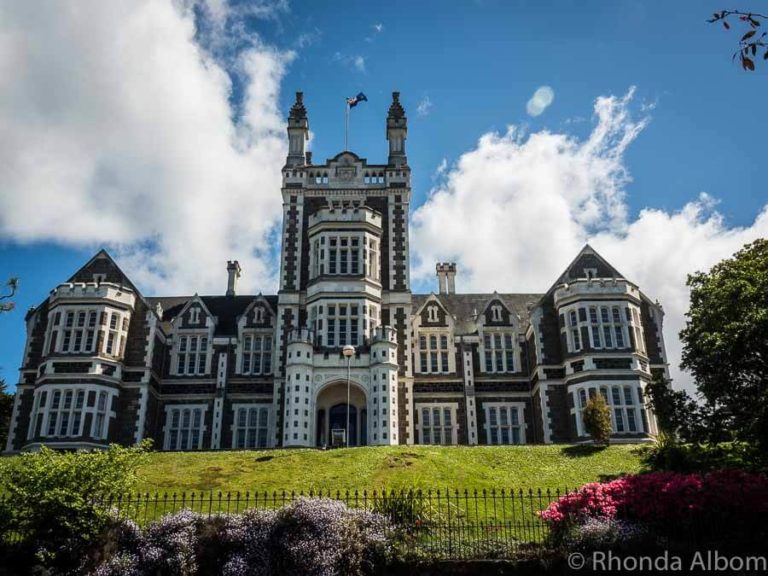 25 Things to Do in Dunedin NZ and their Unique Claim to Fame