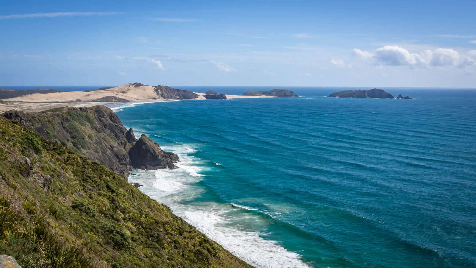 Auckland To Cape Reinga New Zealand Road Trip Tips Albom