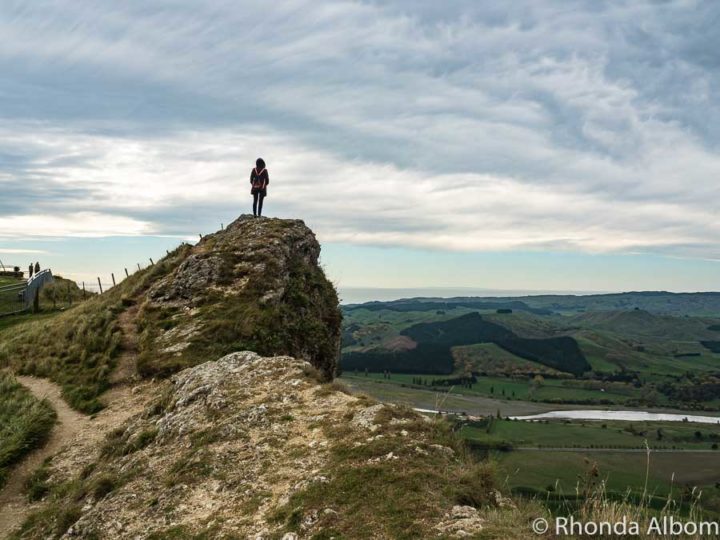 Exploring the Best Stops on a Napier to Wellington Road Trip