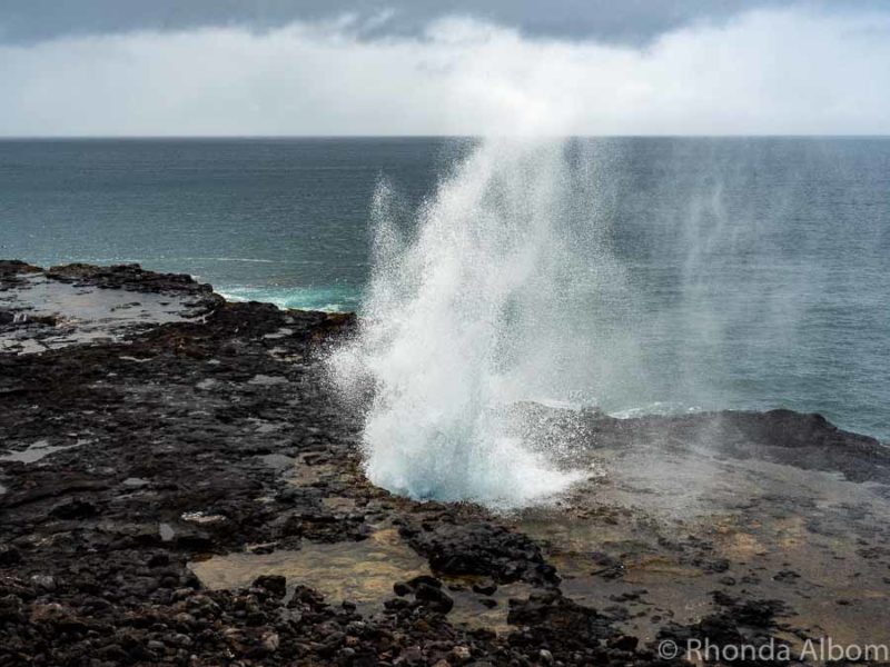 Enchanting Kauai Excursions: 14 Captivating Highlights