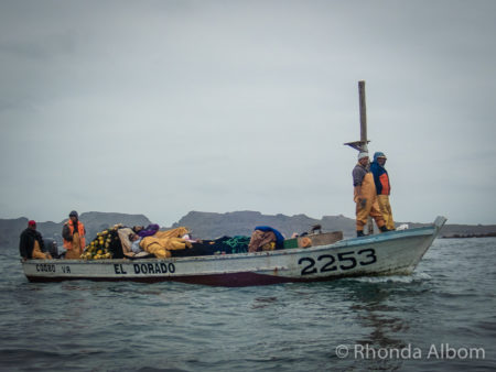 Getting to Isla Damas - Seeing Penguins in Chile