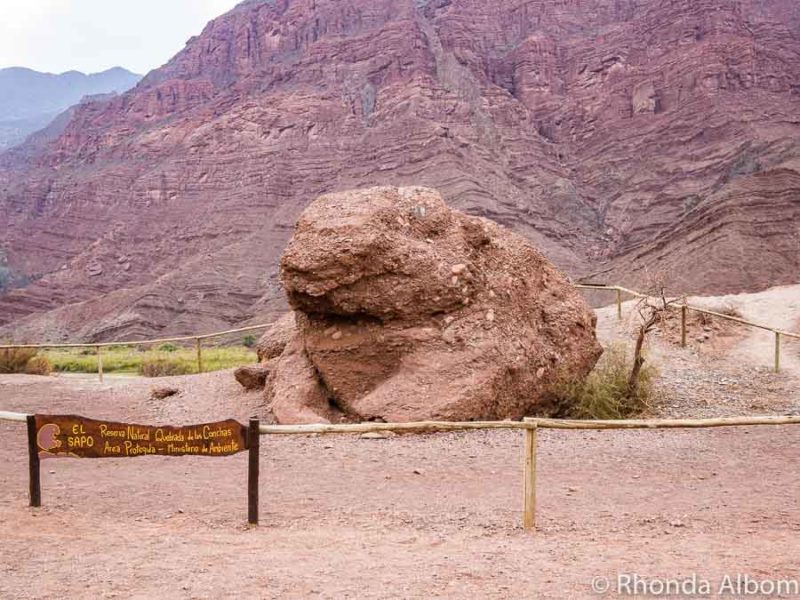 El Sopa is a rock cluster that looks a toad seen while driving through quebrada las conchas in Argentina.