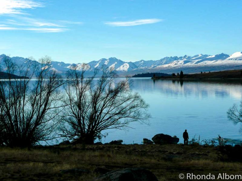 Things to Do in Lake Tekapo: Epic Days and Starry Nights