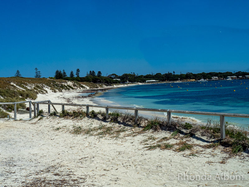 What to Do on Rottnest Island Besides Quokka Selfies • Albom Adventures