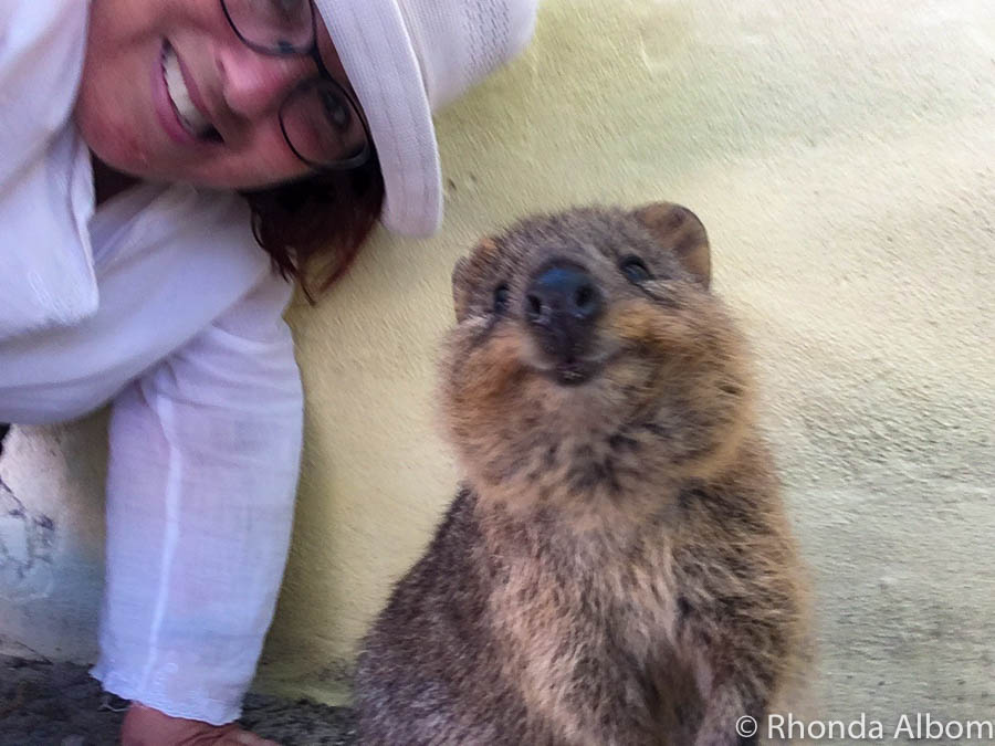 Australian Animals: Unique, Poisonous, or Adorable â€¢ Albom Adventures