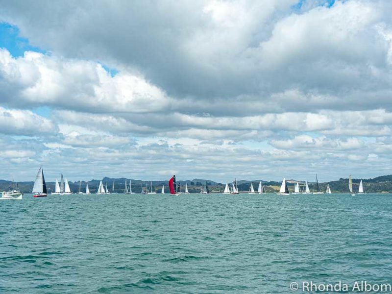 Yacht race  in the Bay of Islands, New Zealand