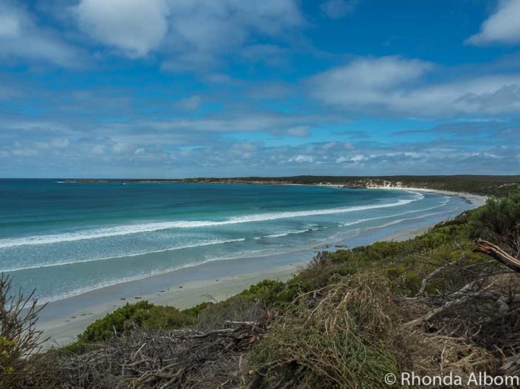 Things to Do in Kangaroo Island - Itinerary for 2024