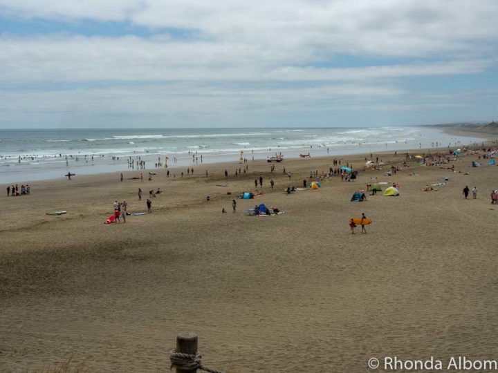 Muriwai Beach is Nesting Gannets, Black Sand, and Wild Surf in Auckland