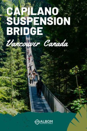 Vancouver: Floatplane e Capilano Suspension Bridge Combo