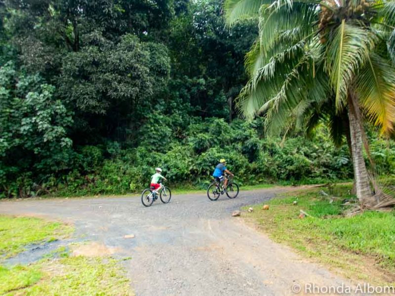 A father and son on bicycles in the backroads on Rarotonga